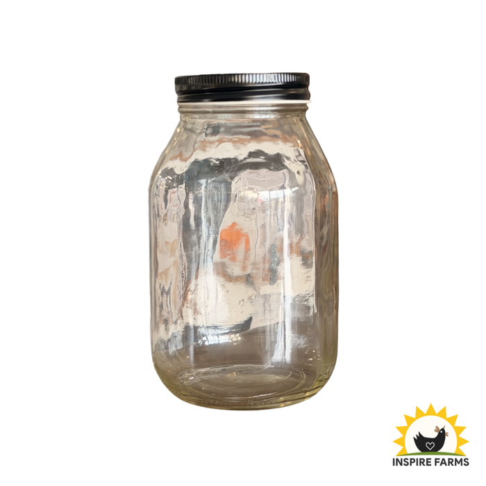 Glass Jar with Lid (Various Sizes) — Single Jar