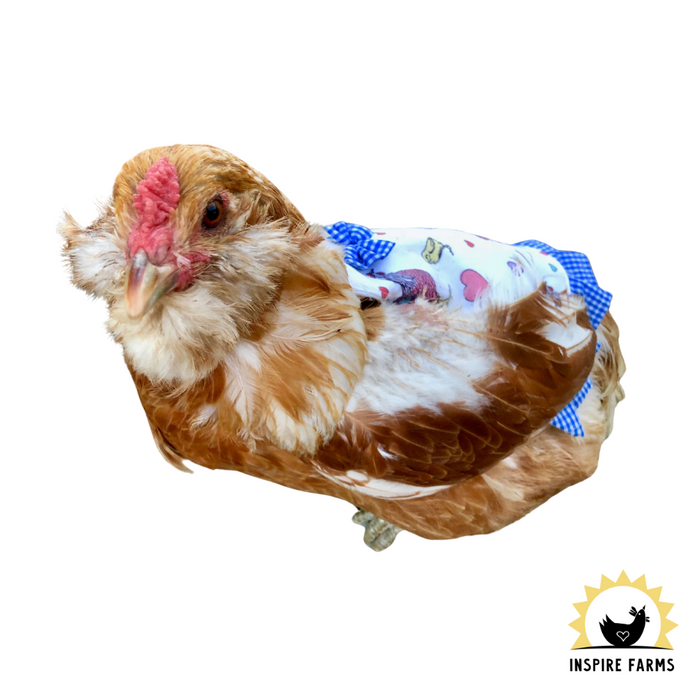 Hen Couture Saddle Apron - Chicken Protection