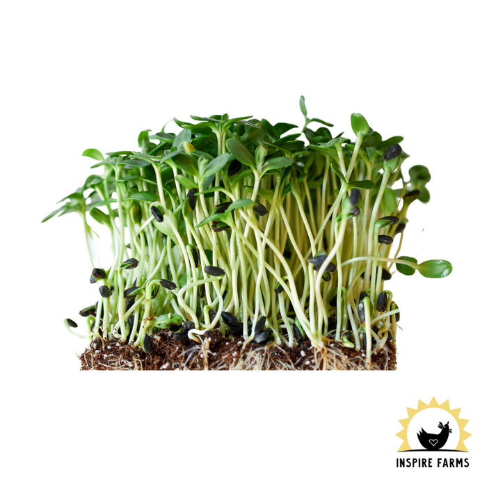 Just Farm Vegetables, Greens, and Herbs