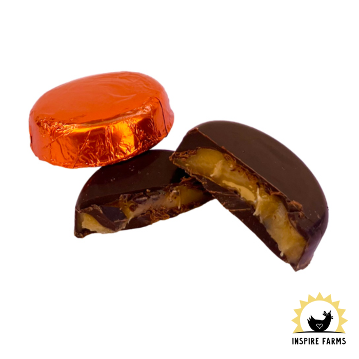 Honey Acres Cocoa–Dark Chocolate Honey Truffle Patties - singles