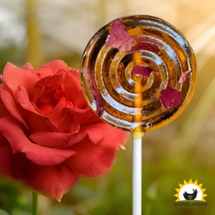 Honey Rose Lollipop