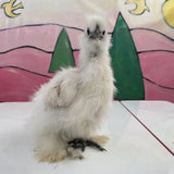 Silkie