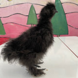 Silkie