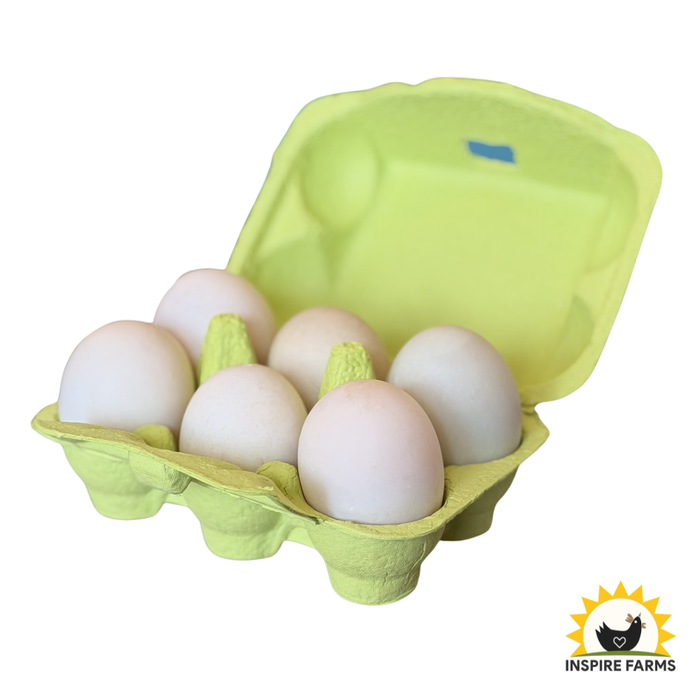 Inspire Farms Corn & Soy-Free Organic-Fed Duck Eggs (6 pack)