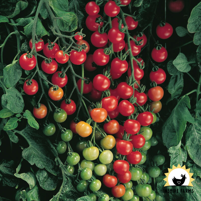 Inspire Farms Seeds