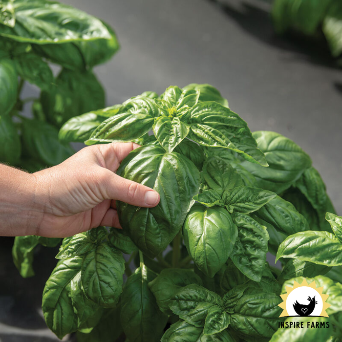 Inspire Farms Seeds