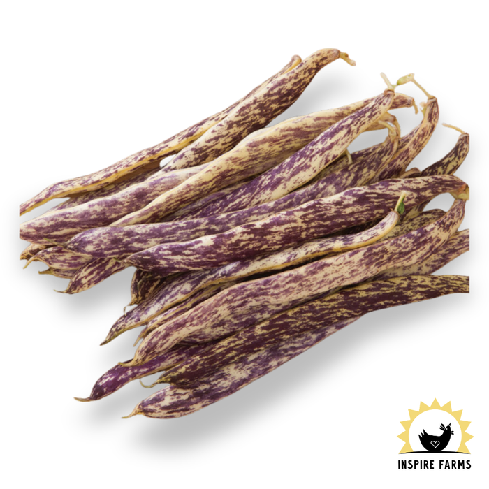 Inspire Farms Seeds