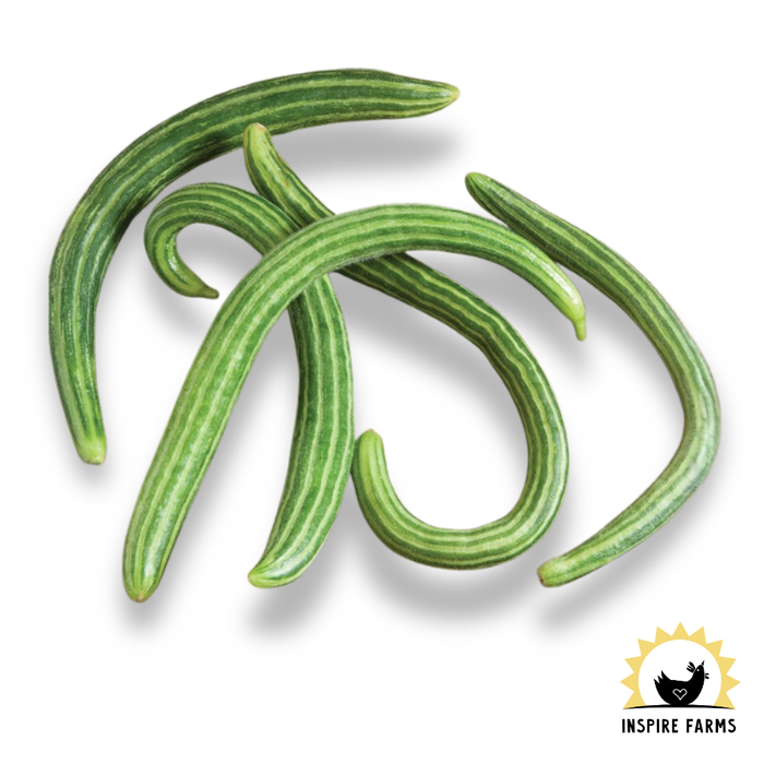Inspire Farms Seeds