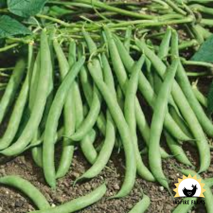 Inspire Farms Seeds