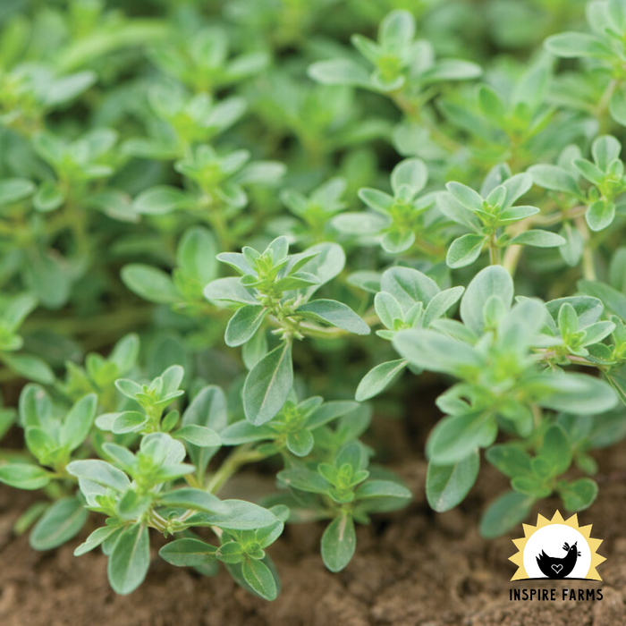 Inspire Farms Seeds