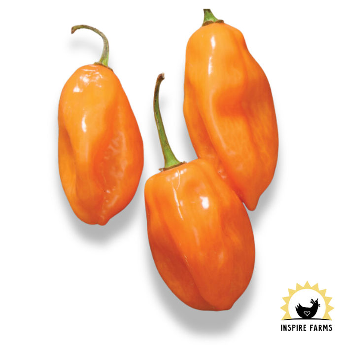 Inspire Farms Seeds