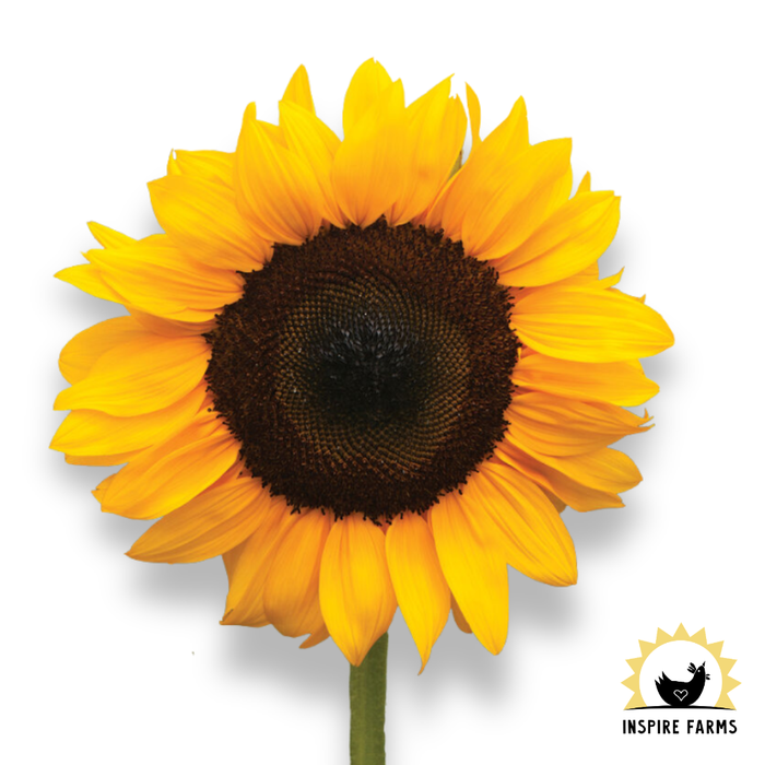 Inspire Farms Seeds