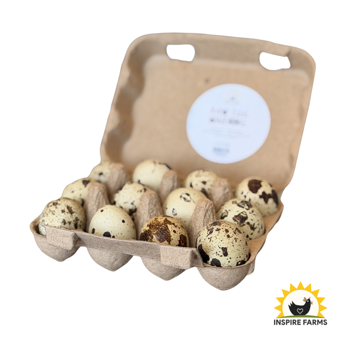 Inspire Farms Corn & Soy-Free Organic-Fed Quail Eggs