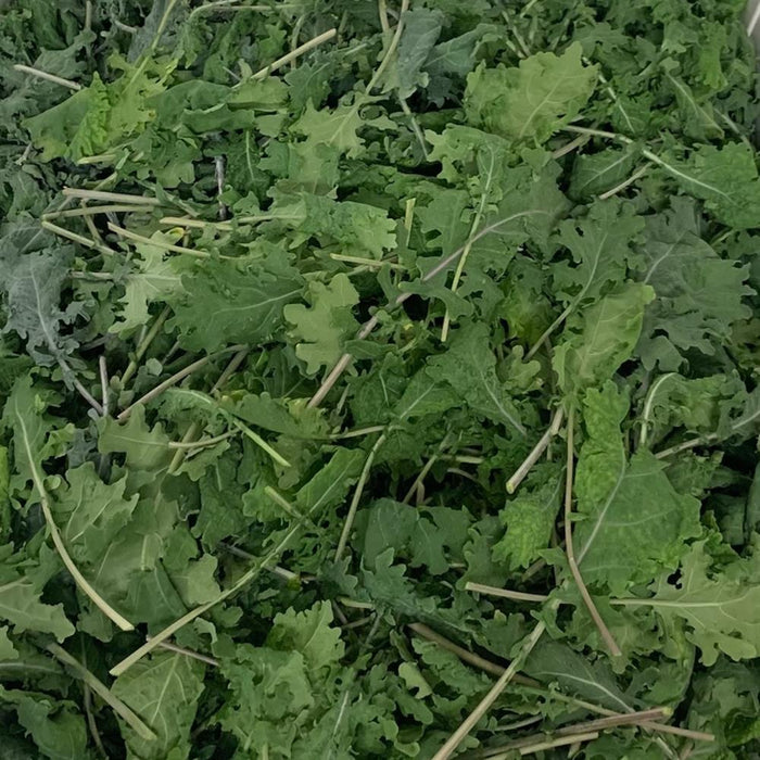 Kale 1lb bag TruLocal