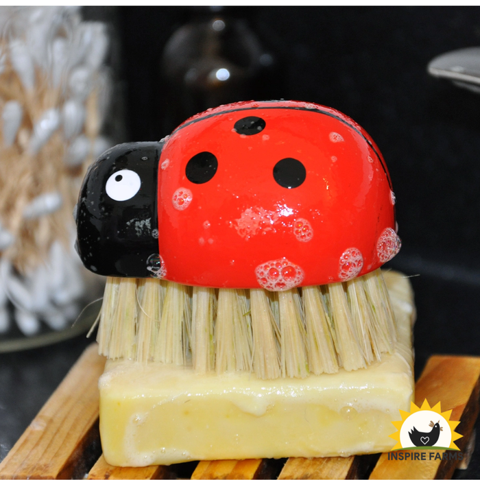 Ladybug Brush