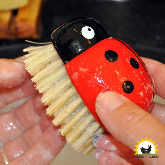 Ladybug Brush