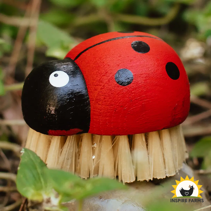 Ladybug Brush