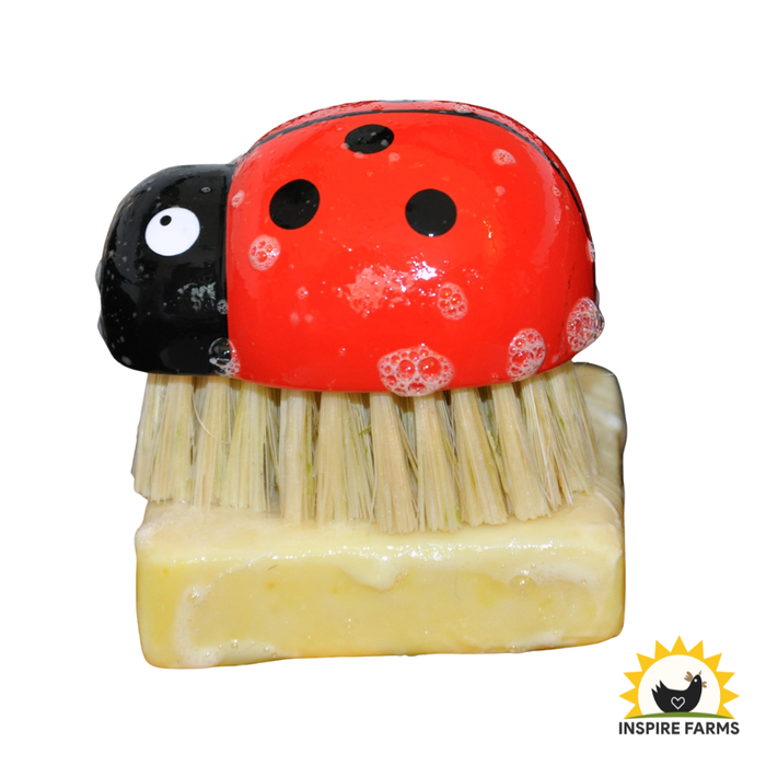 Ladybug Brush