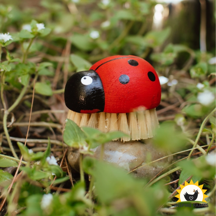Ladybug Brush