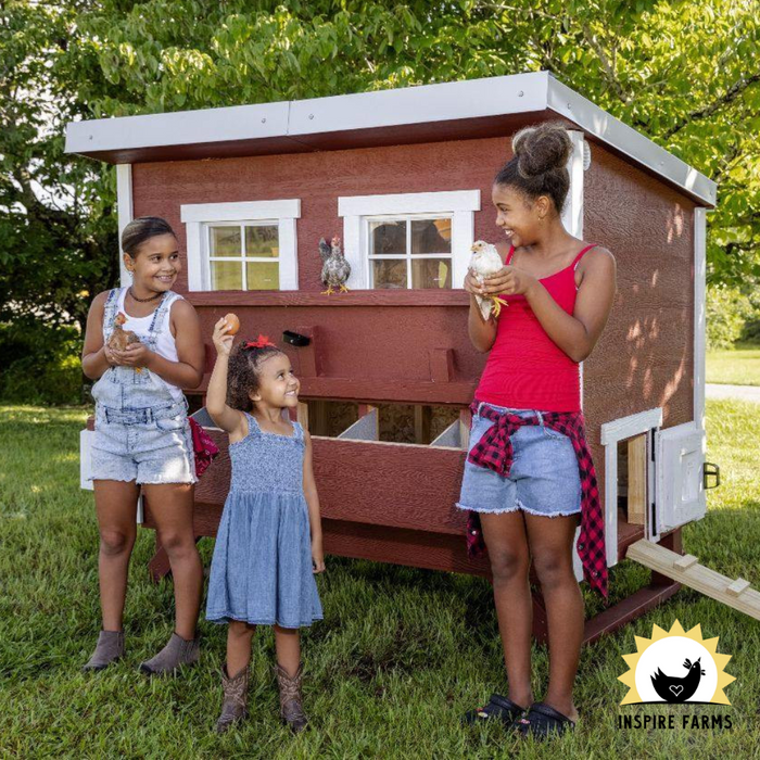 Large Chicken Coop, 15 Chickens