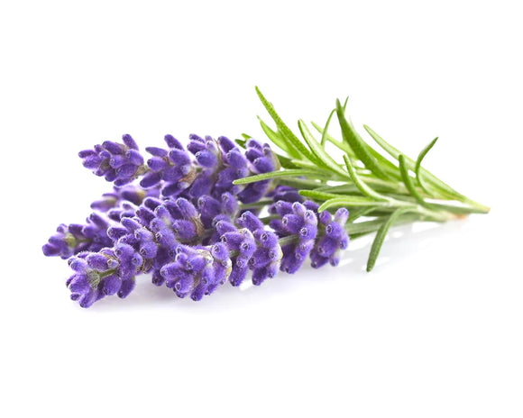 Lavender Herb Kit