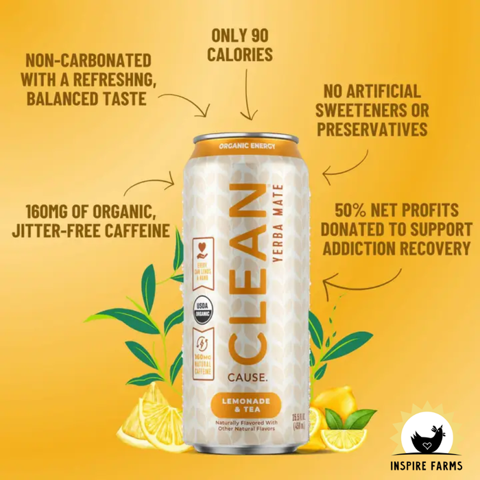 Organic Yerba Mate Tea – Sparkling & Non-Carbonated Energy Drink 16oz