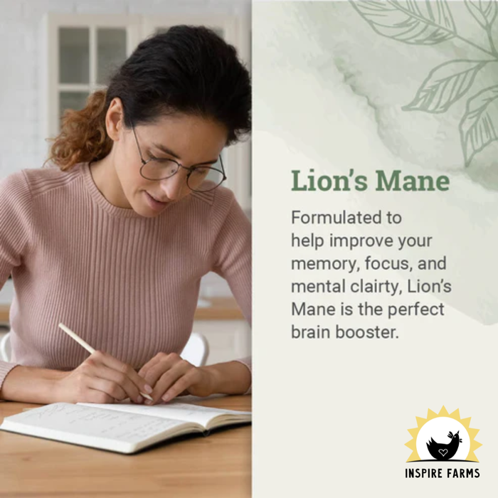 Lion’s Mane