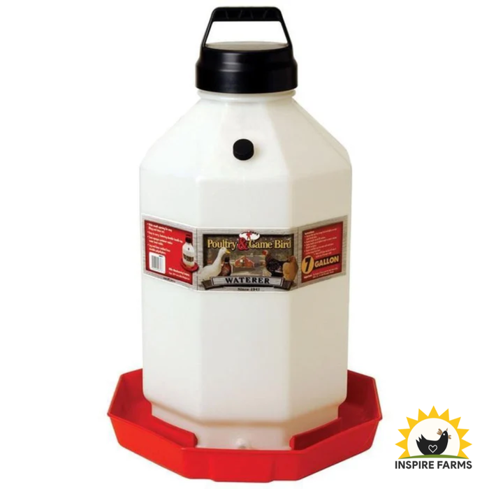 Plastic Waterer