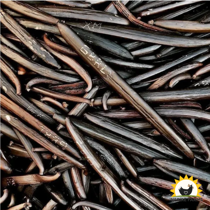 Madagascar Bourbon Pure Vanilla Extract