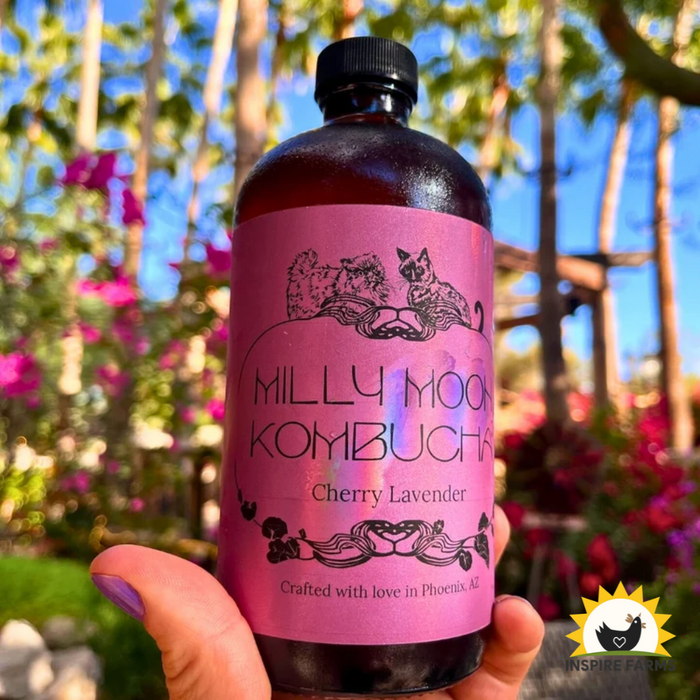 Milly Moon Kombucha 16oz