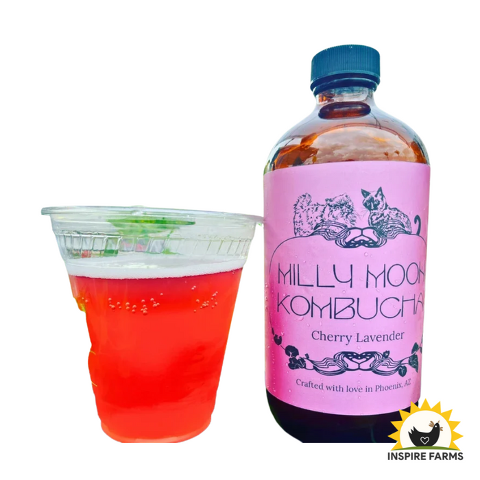 Milly Moon Kombucha 16oz