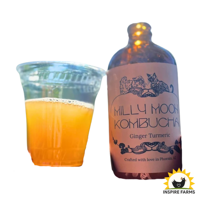 Milly Moon Kombucha 16oz