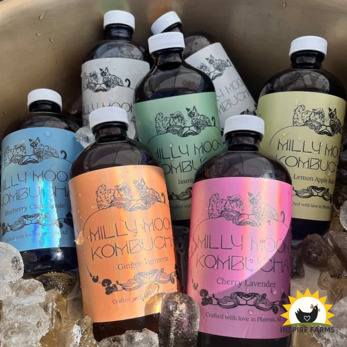 Milly Moon Kombucha 16oz