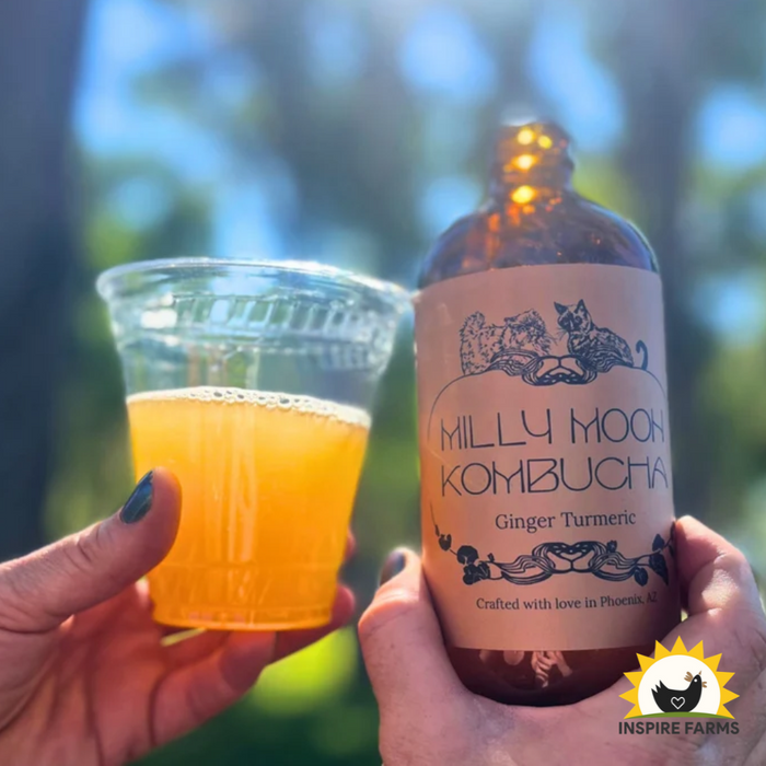 Milly Moon Kombucha 16oz