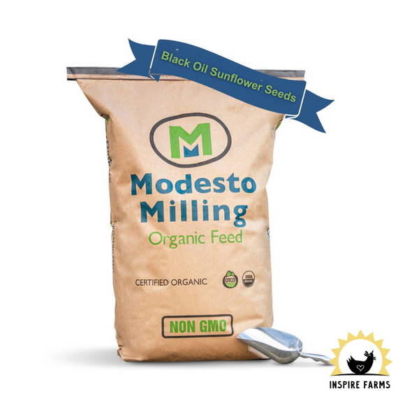 Modesto Milling Black Oil Sunflower Seeds