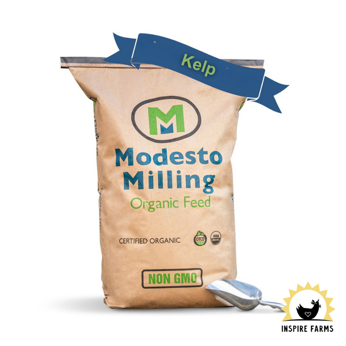 Modesto Milling Kelp