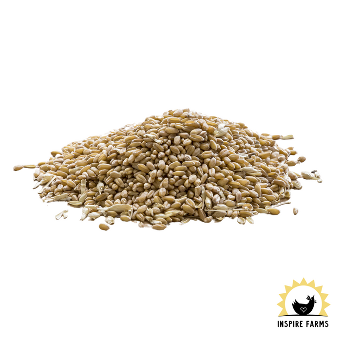 Modesto Milling Organic Whole Red Wheat