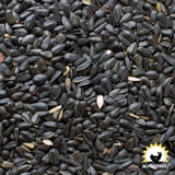 Modesto Milling Black Oil Sunflower Seeds