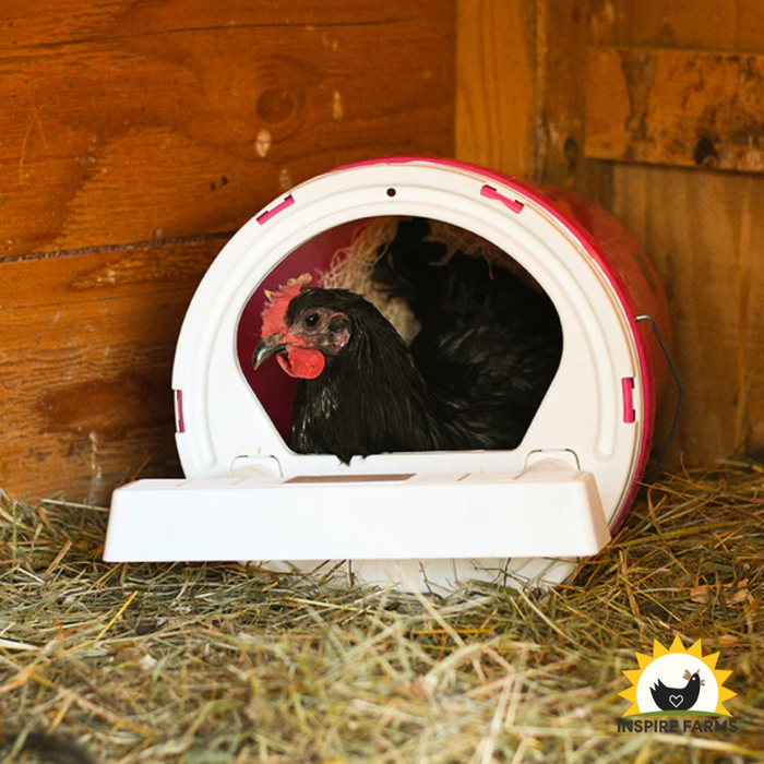 Nest Box Bucket Kit
