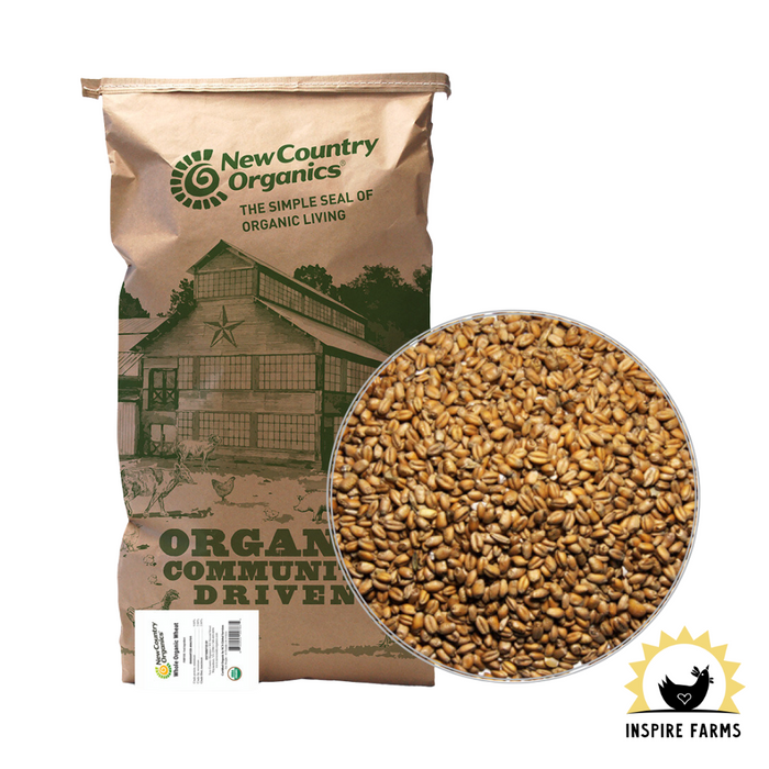 New Country Organics Organic Wheat