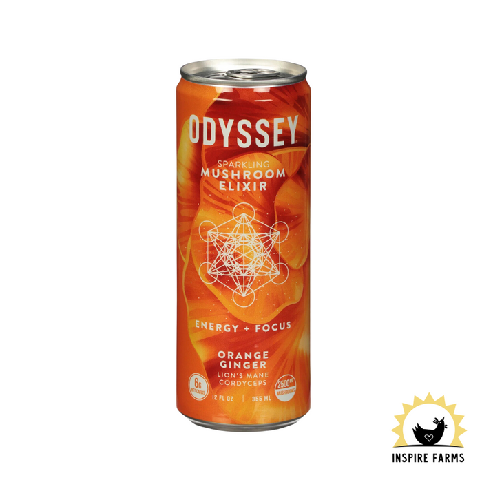 Odyssey Mushroom Elixir