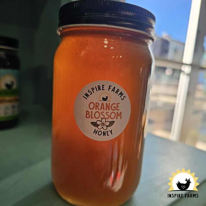 Local Mesa Raw Orange Blossom Honey