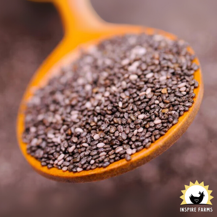 Organic Black Chia Seeds - 1 lb