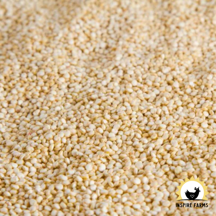 Organic Quinoa - 1 lb