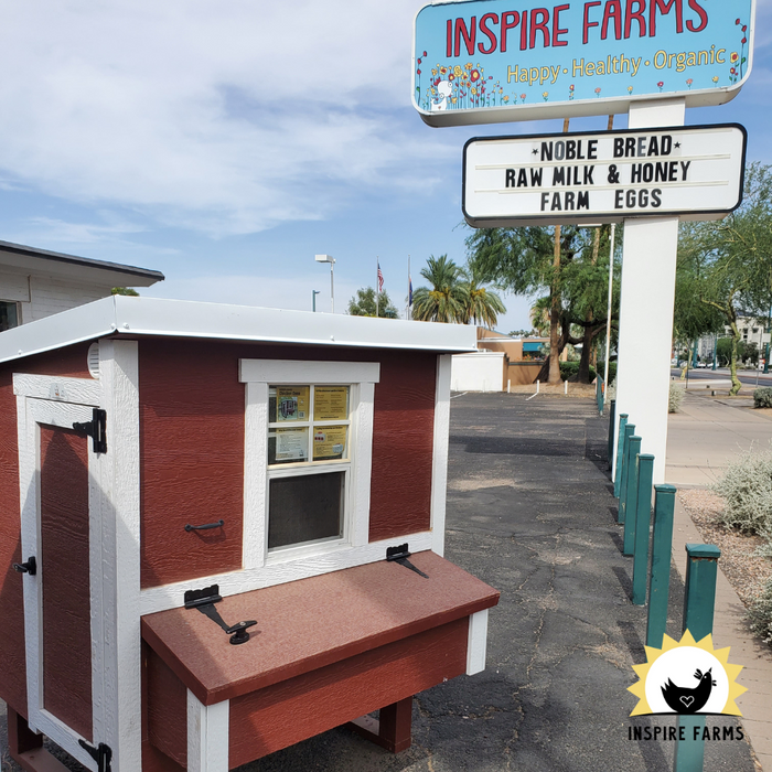 Medium Chicken Coop, 10 Chickens