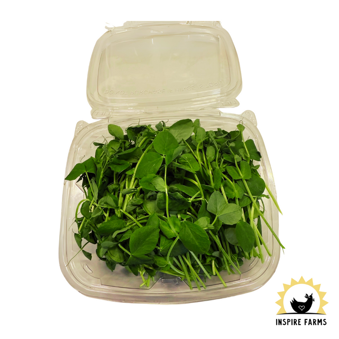 Harvest Micro Greens