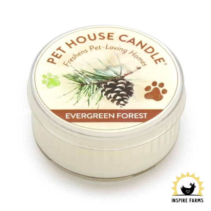 Pet House Mini Candles