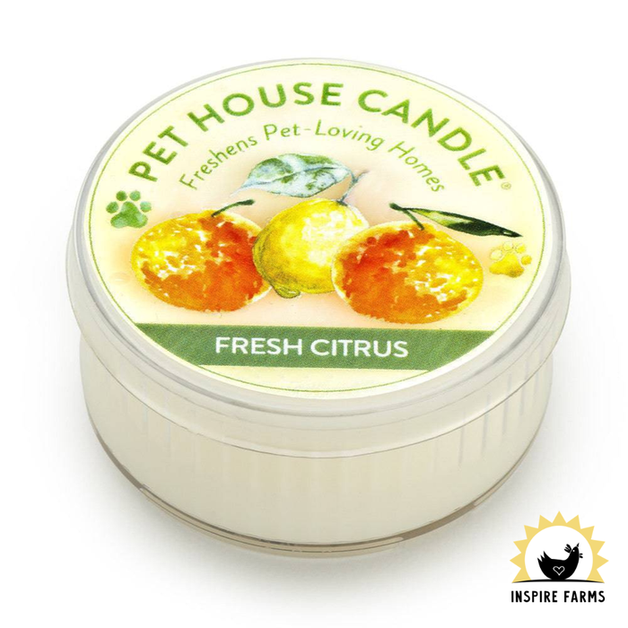 Pet House Mini Candles