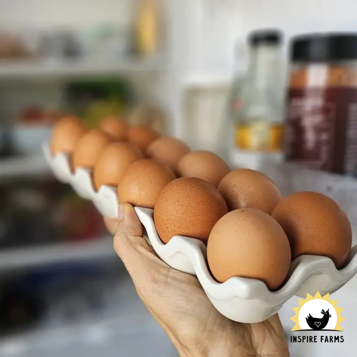 Porcelain Egg Holder Tray