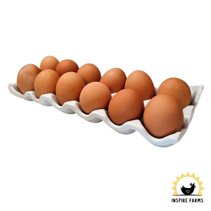 Porcelain Egg Holder Tray